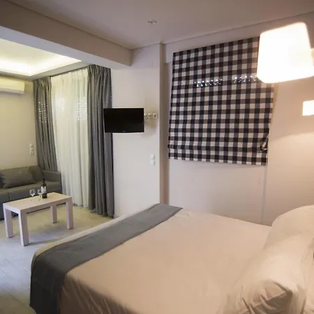 公寓式酒店 The Ionian View Áyios Nikítas